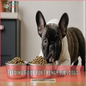 Feeding Guide for French Bulldogs