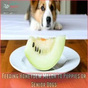 Feeding Honeydew Melon to Puppies or Senior Dogs