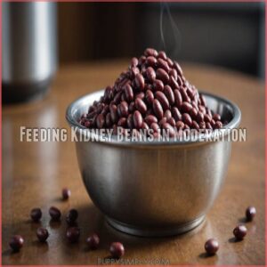 Feeding Kidney Beans in Moderation