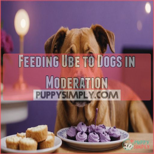 Feeding Ube to Dogs in Moderation