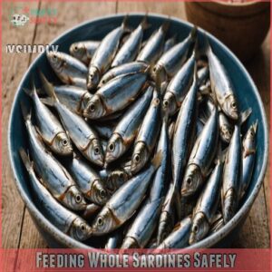 Feeding Whole Sardines Safely