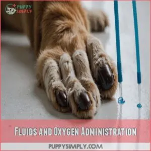 Fluids and Oxygen Administration