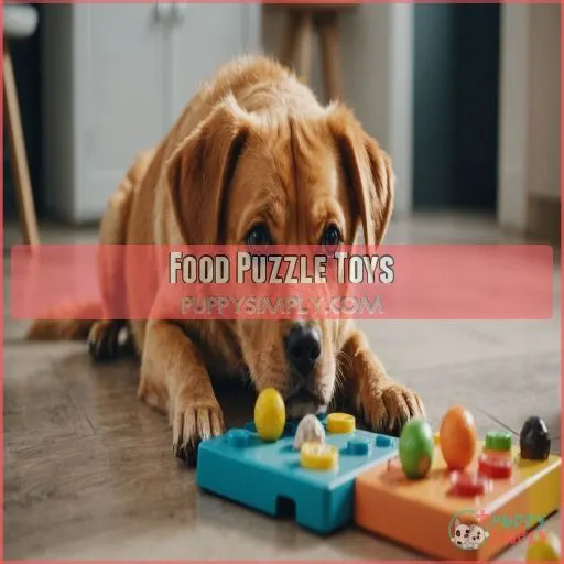 Food Puzzle Toys