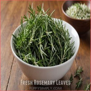 Fresh Rosemary Leaves