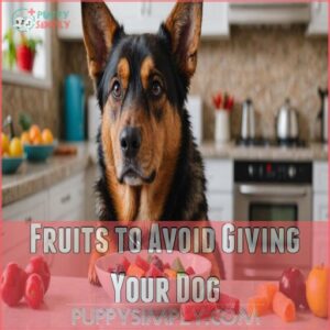 Fruits to Avoid Giving Your Dog