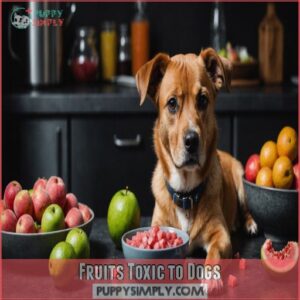 Fruits Toxic to Dogs