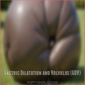 Gastric Dilatation and Volvulus (GDV)