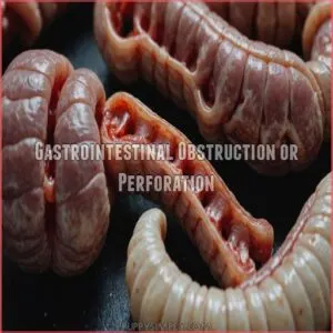 Gastrointestinal Obstruction or Perforation