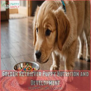 Golden Retriever Puppy Nutrition and Development