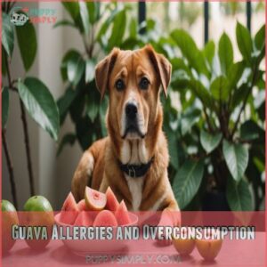 Guava Allergies and Overconsumption