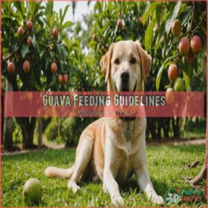 Guava Feeding Guidelines