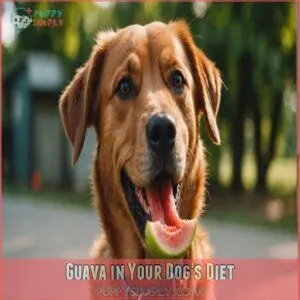 Guava in Your Dog's Diet