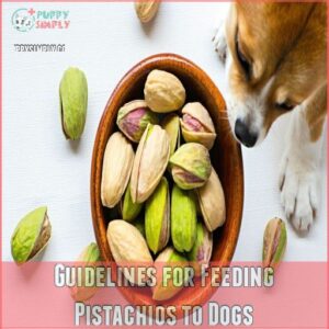 Guidelines for Feeding Pistachios to Dogs