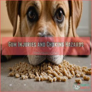 Gum Injuries and Choking Hazards