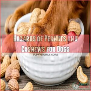 Hazards of Peanuts and Cashews for Dogs