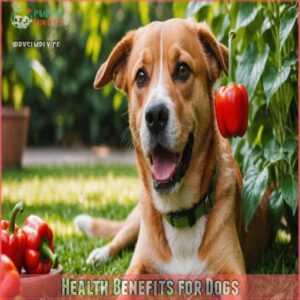 Health Benefits for Dogs