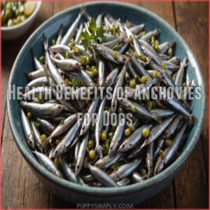 Health Benefits of Anchovies for Dogs