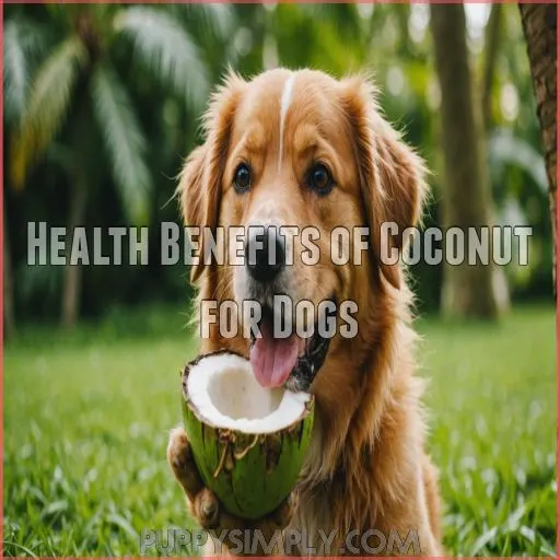 Health Benefits of Coconut for Dogs