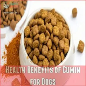 Health Benefits of Cumin for Dogs