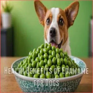 Health Benefits of Edamame for Dogs