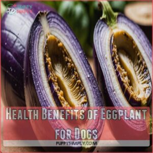 Health Benefits of Eggplant for Dogs