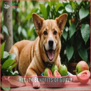 Health Benefits of Guava