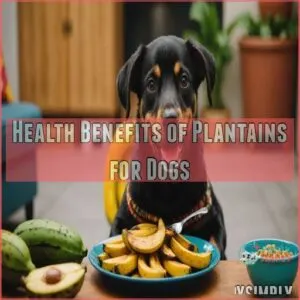 Health Benefits of Plantains for Dogs