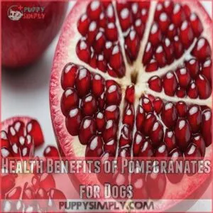 Health Benefits of Pomegranates for Dogs