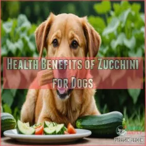 Health Benefits of Zucchini for Dogs