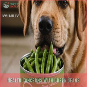 Health Concerns With Green Beans