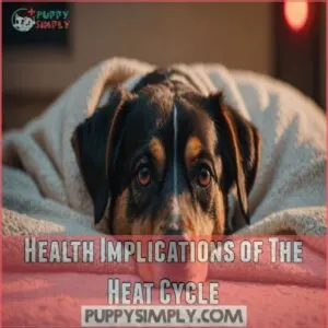 Health Implications of The Heat Cycle