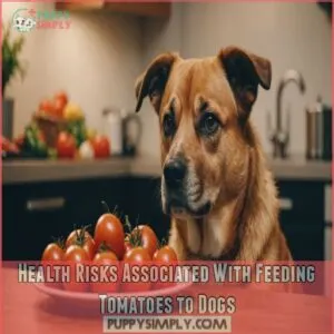 Health Risks Associated With Feeding Tomatoes to Dogs