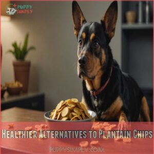 Healthier Alternatives to Plantain Chips