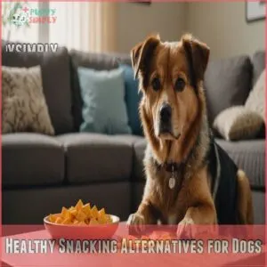 Healthy Snacking Alternatives for Dogs