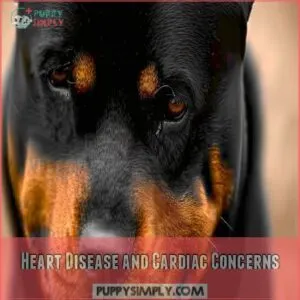 Heart Disease and Cardiac Concerns