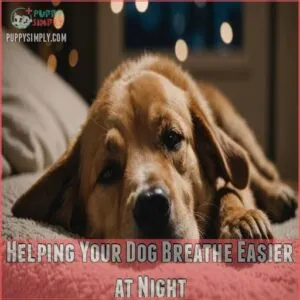 Helping Your Dog Breathe Easier at Night