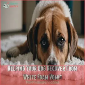 Helping Your Dog Recover From White Foam Vomit