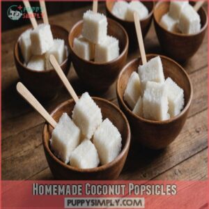 Homemade Coconut Popsicles