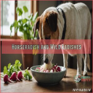 Horseradish and Wild Radishes