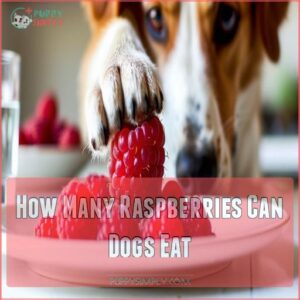 How Many Raspberries Can Dogs Eat