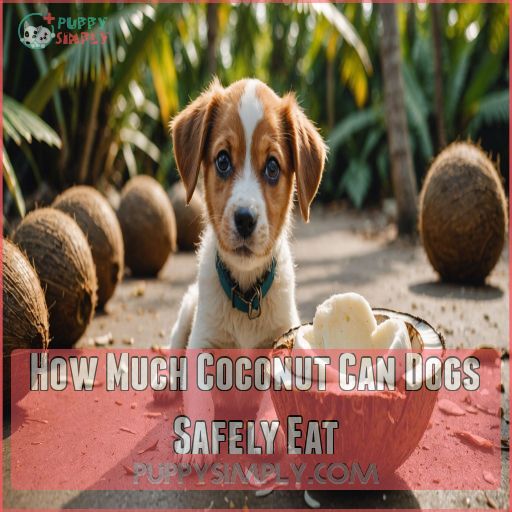 How Much Coconut Can Dogs Safely Eat