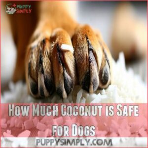 How Much Coconut is Safe for Dogs