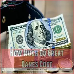 How Much Do Great Danes Cost