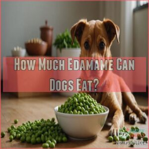 How Much Edamame Can Dogs Eat