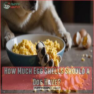 How Much Egg Shells Should a Dog Have