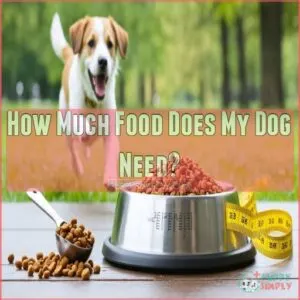 how much food does my dog need