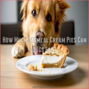 How Much Oatmeal Cream Pies Can Dogs Eat