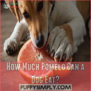 How Much Pomelo Can a Dog Eat