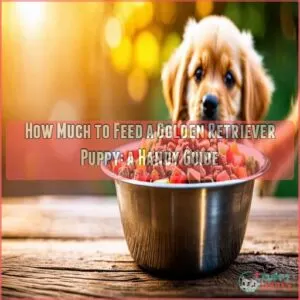 how much to feed a golden retriever puppy