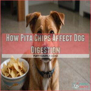 How Pita Chips Affect Dog Digestion